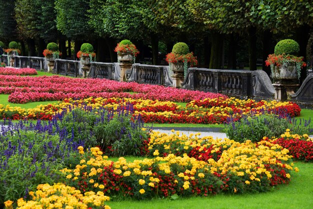 Vista de ángulo alto de las flores coloridas que florecen en el parque