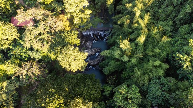 Vista de ángulo alto Fotografía aérea de la cascada