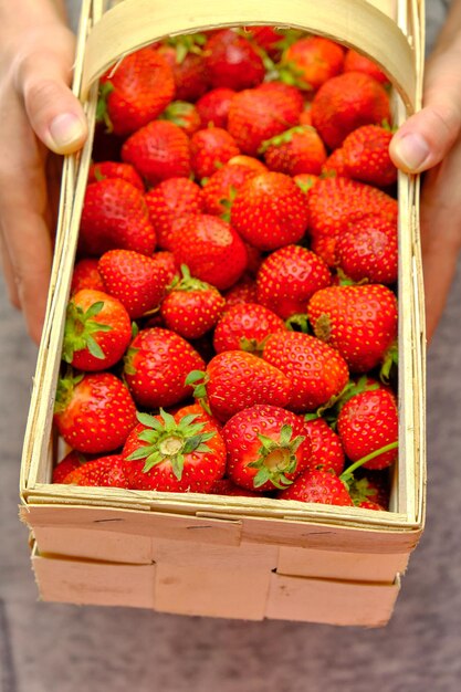 Foto vista de ángulo alto de las fresas en la canasta