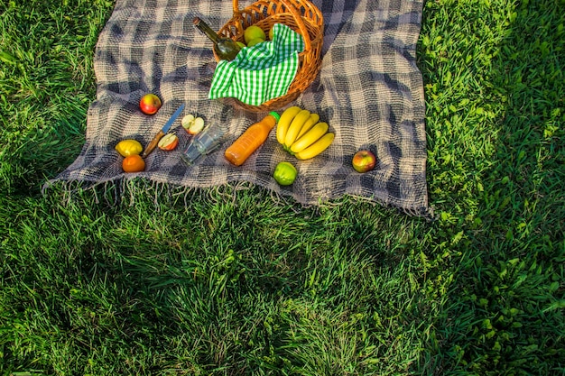 Vista en ángulo alto de las frutas en el campo