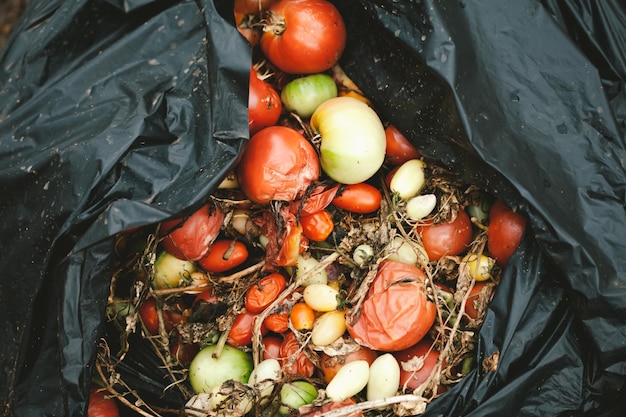 Foto vista de ángulo alto de las frutas en el recipiente