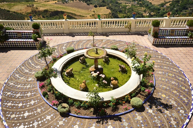 Foto vista de ángulo alto de la fuente en el jardín