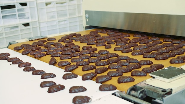 Vista de ángulo alto de las galletas en la mesa