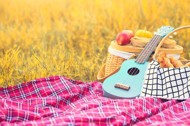 Foto vista de ángulo alto de la guitarra en el campo