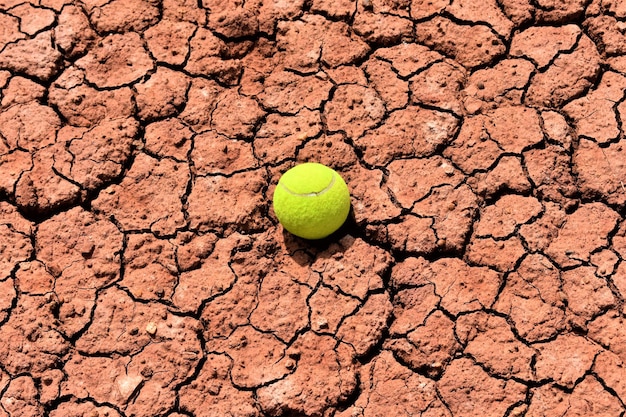 Foto vista en ángulo alto de la hoja en el campo