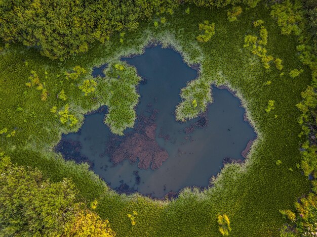 Foto vista de ángulo alto de una hoja flotando en el agua