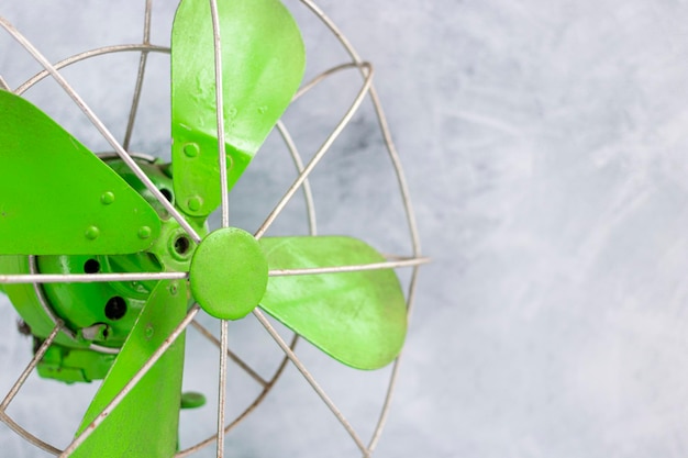 Foto vista de ángulo alto de la hoja verde en la planta