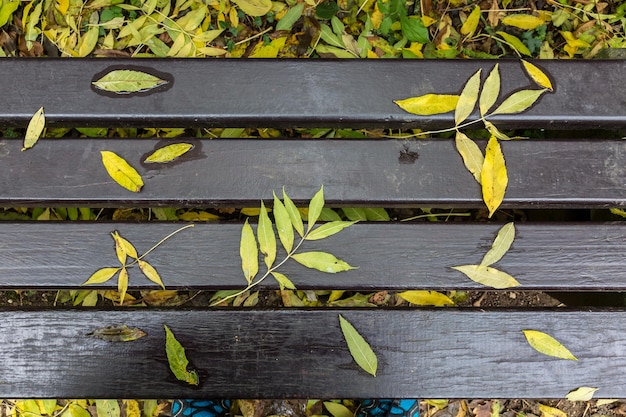 Foto vista de ángulo alto de hojas amarillas en una tabla de madera