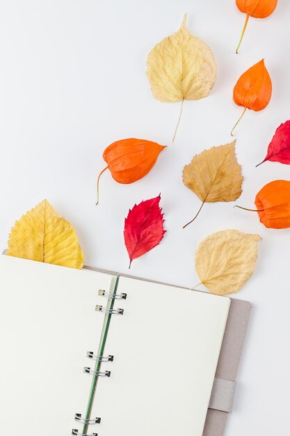 Foto vista de ángulo alto de las hojas de otoño en la mesa