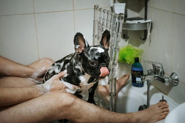 Vista de ángulo alto de un hombre bañando a un perro en la bañera