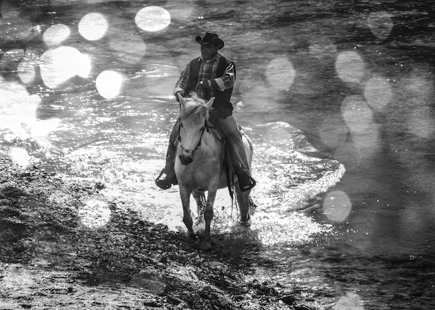 Foto vista de ángulo alto de un hombre montando un caballo en la orilla del lago