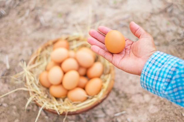 Foto vista de ángulo alto de los huevos en la mano