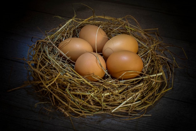 Foto vista de ángulo alto de los huevos en el nido