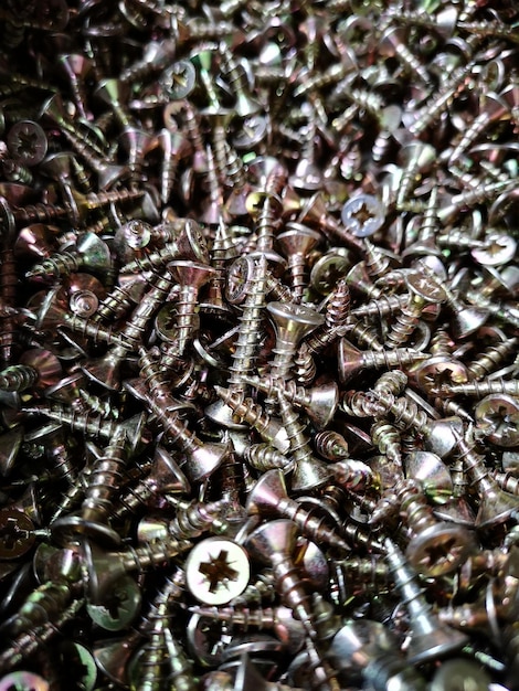 Vista de ángulo alto de un insecto en metal