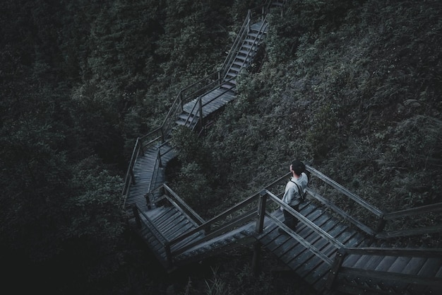 Vista de ángulo alto de un joven de pie en las escaleras del bosque