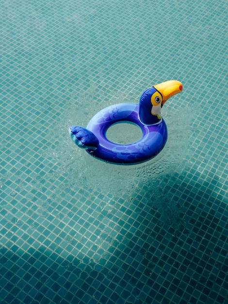 Vista de ángulo alto de un juguete flotando en una piscina