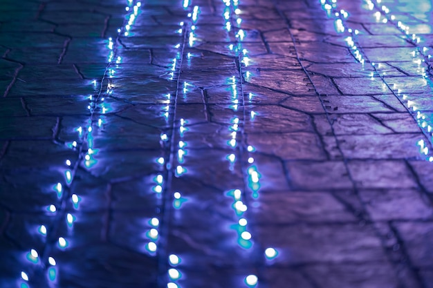 Vista de ángulo alto de las luces de Navidad iluminadas en el sendero por la noche