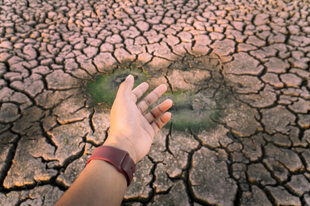 Foto vista de ángulo alto de la mano humana en tierra agrietada