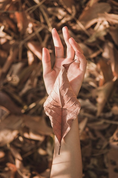 Foto vista de ángulo alto de la mano sosteniendo una hoja seca en el campo durante el otoño