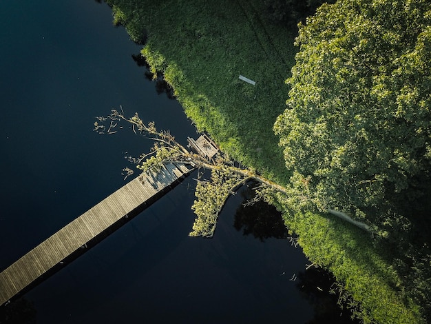 Vista de ángulo alto del muelle sobre el río en el bosque