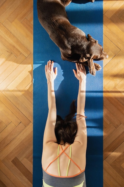 Foto vista de ángulo alto de mujer con gato en el suelo