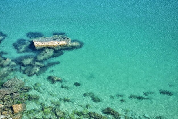 Foto vista de ángulo alto de la natación en el mar