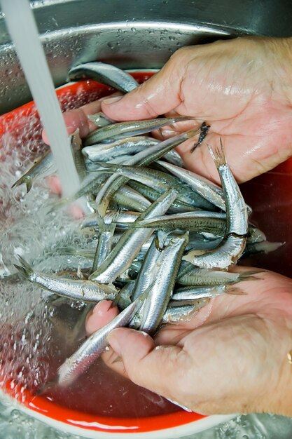 Foto vista de ángulo alto de los peces en la mano