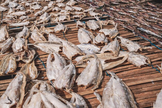 Foto vista de ángulo alto de peces muertos en el tronco