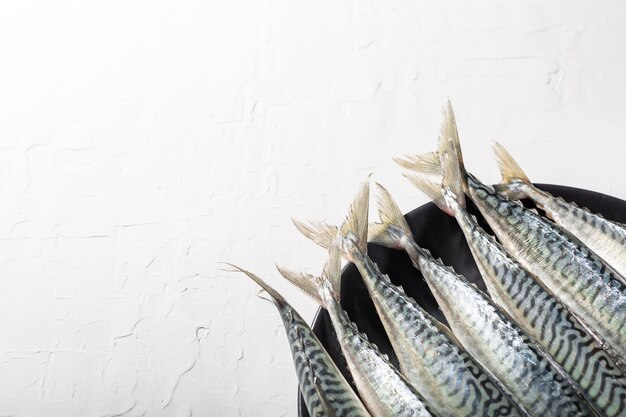 Vista de ángulo alto de los peces en el plato contra la pared blanca