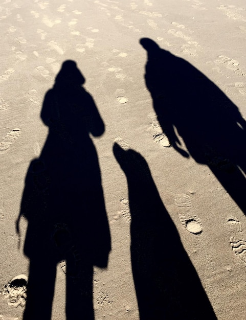 Foto vista de ángulo alto de personas con sombras de perros en la arena en la playa