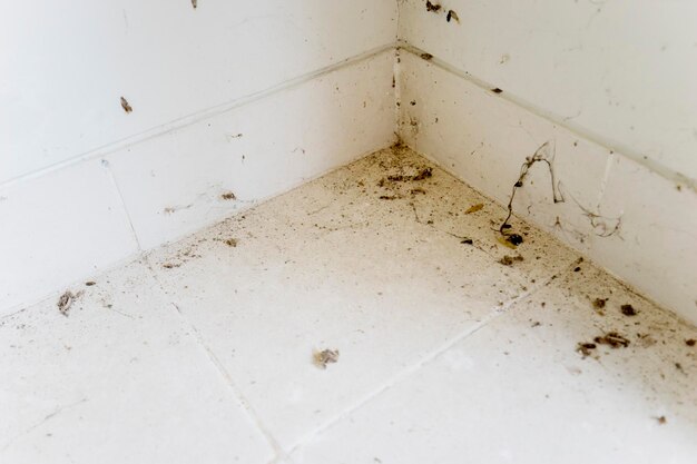 Foto vista de ángulo alto del piso de baldosas en el edificio