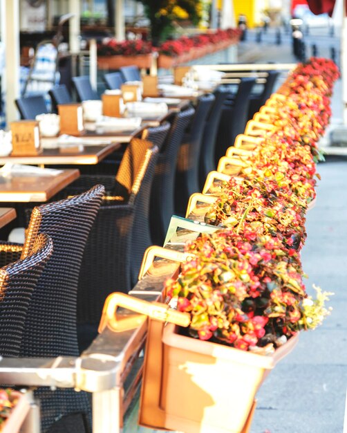 Vista de ángulo alto de plantas en maceta por mesas y sillas en el restaurante