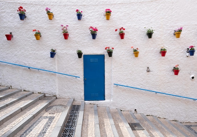 Vista de ángulo alto de plantas en maceta de varios colores en la pared