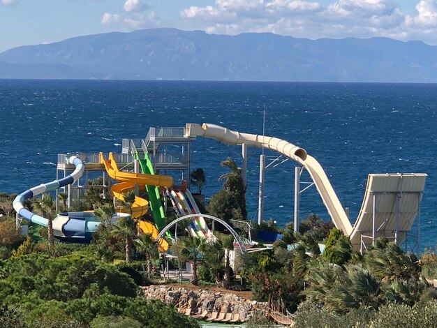 Vista en ángulo alto de las plantas desde el mar contra el cielo