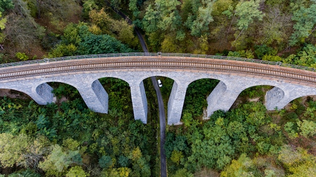 Foto vista de ángulo alto del puente en el bosque