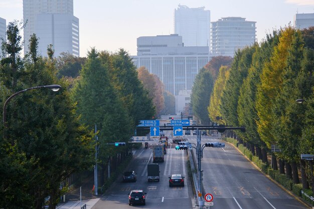 Foto vista de ángulo alto del puente en la ciudad