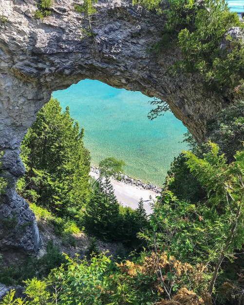 Foto vista en ángulo alto de las rocas en el bosque