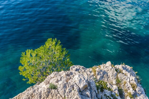 Foto vista en ángulo alto de las rocas en el mar