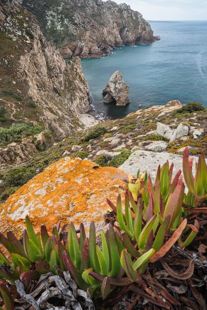 Foto vista en ángulo alto de las rocas en la orilla del mar