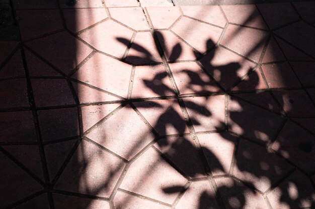 Foto vista de ángulo alto de la sombra en el piso de baldosas