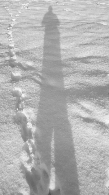 Foto vista de ángulo alto de la sombra en la playa