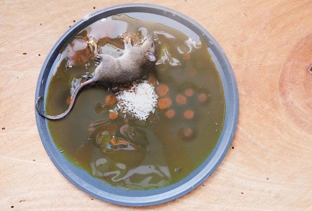 Foto vista de ángulo alto de la sopa en el cuenco en la mesa