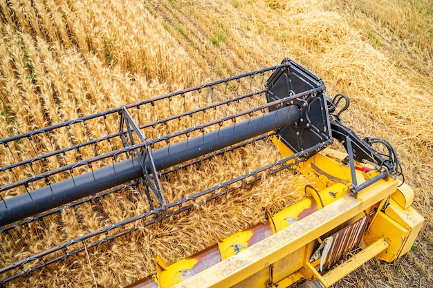 Vista de ángulo alto de las técnicas de agricultura pesada en el campo Recolección de cosecha Trigo seco Cielo azul sobre el concepto de agricultura