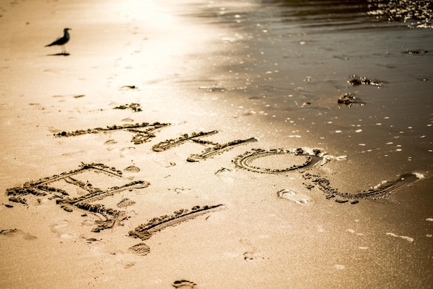 Foto vista de ángulo alto del texto en la arena en la playa