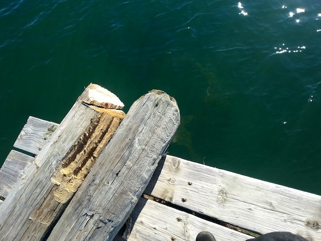 Vista de ángulo alto de troncos de madera en el muelle