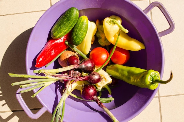 Foto vista en ángulo alto de las verduras en el recipiente