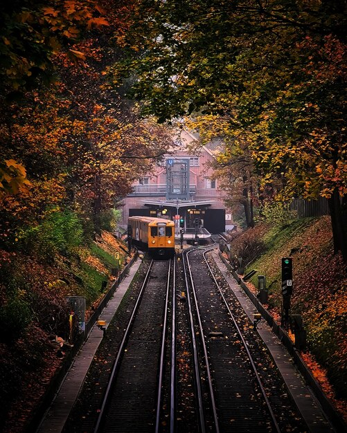 Foto vista de ángulo alto de las vías del ferrocarril durante el otoño