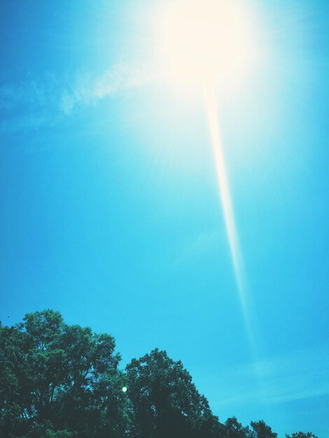 Foto vista de ángulo bajo del árbol contra el cielo en un día soleado