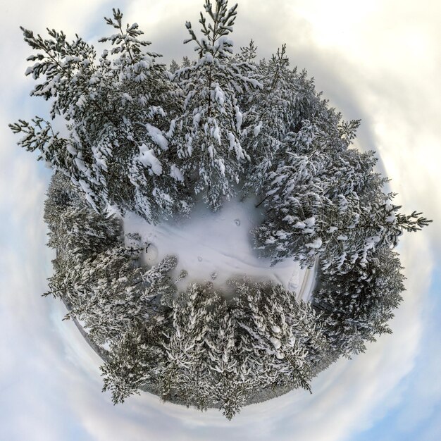 Foto vista de bajo ángulo de árbol cubierto de nieve contra el cielo