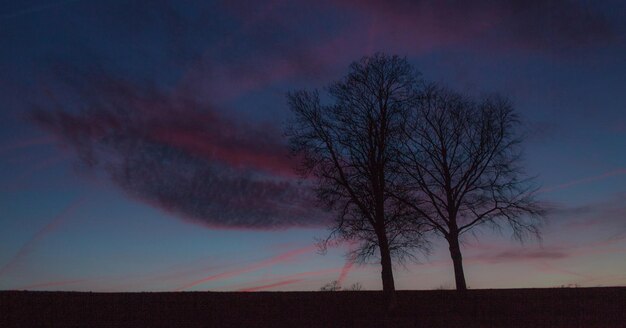 Foto vista de ángulo bajo de árbol desnudo contra el cielo